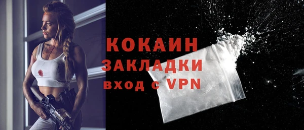 гашик Дмитров
