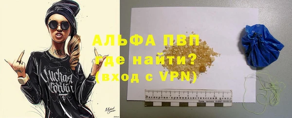 гашик Дмитров