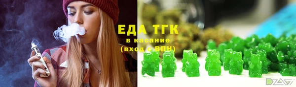 гашик Дмитров