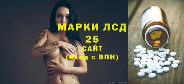 гашик Дмитров