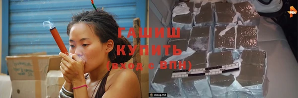 гашик Дмитров