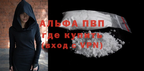 гашик Дмитров