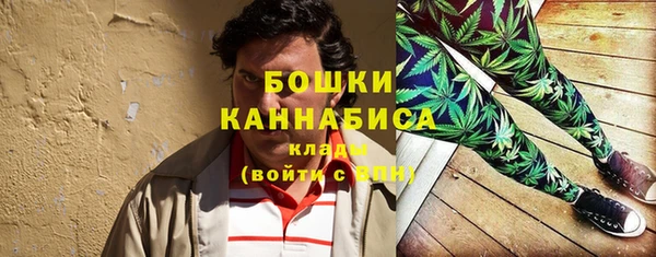 гашик Дмитров