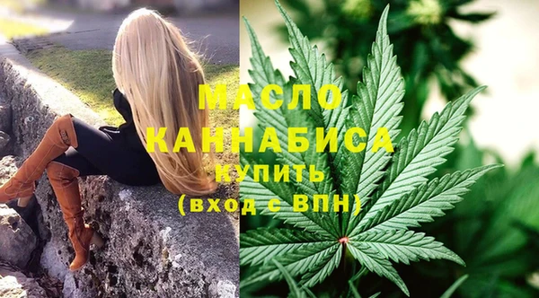 гашик Дмитров