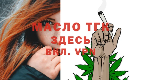 гашик Дмитров