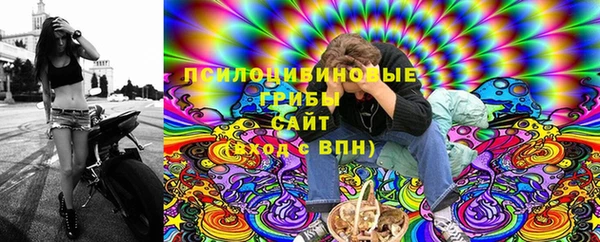 гашик Дмитров