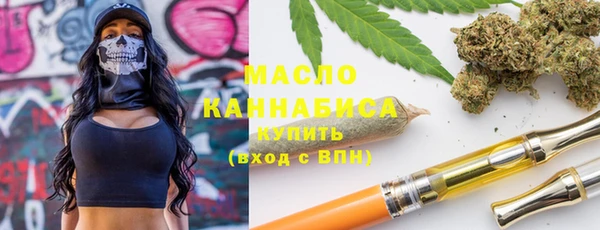 гашик Дмитров